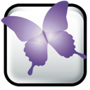 Adobe InDesign CS2 icon